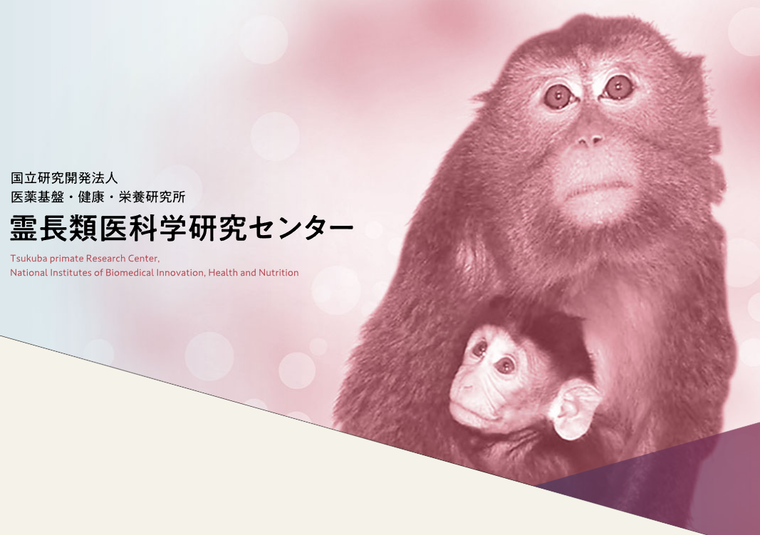 霊長類医科学研究センターHP画像