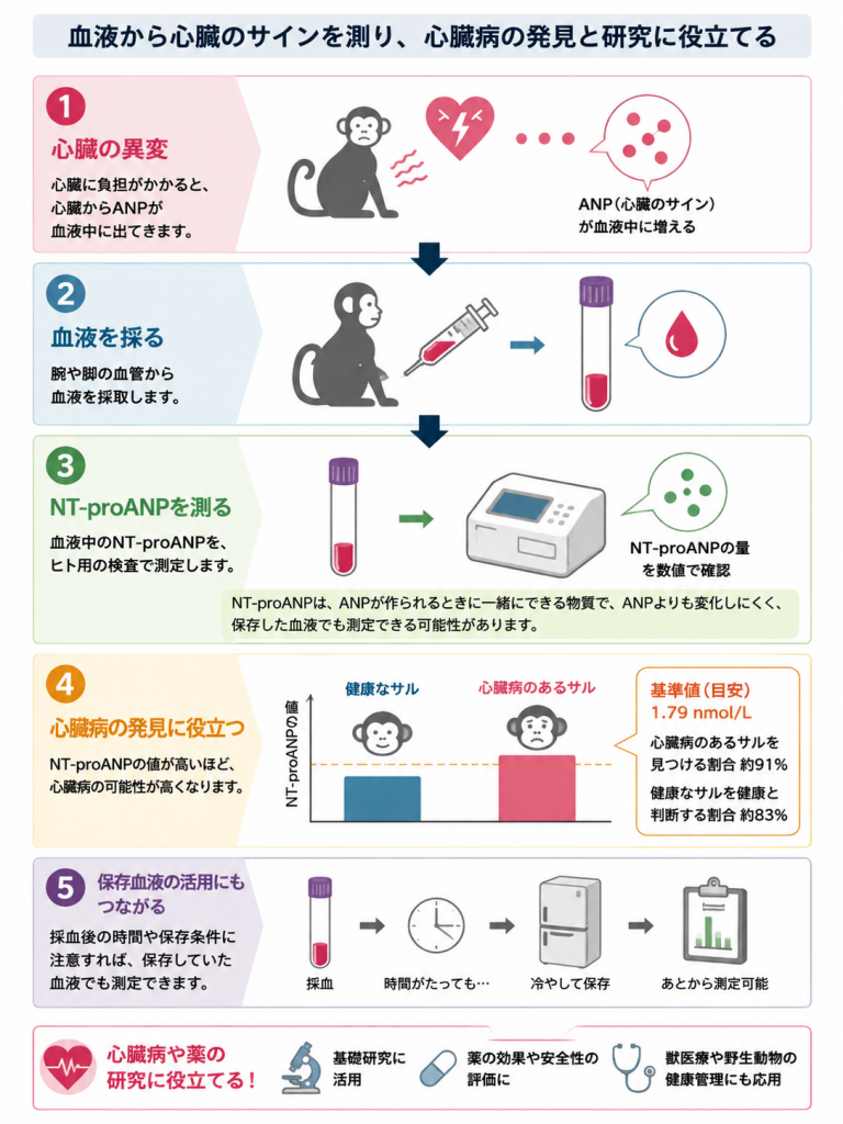 心臓からの情報を、心臓病発見や研究につなげる