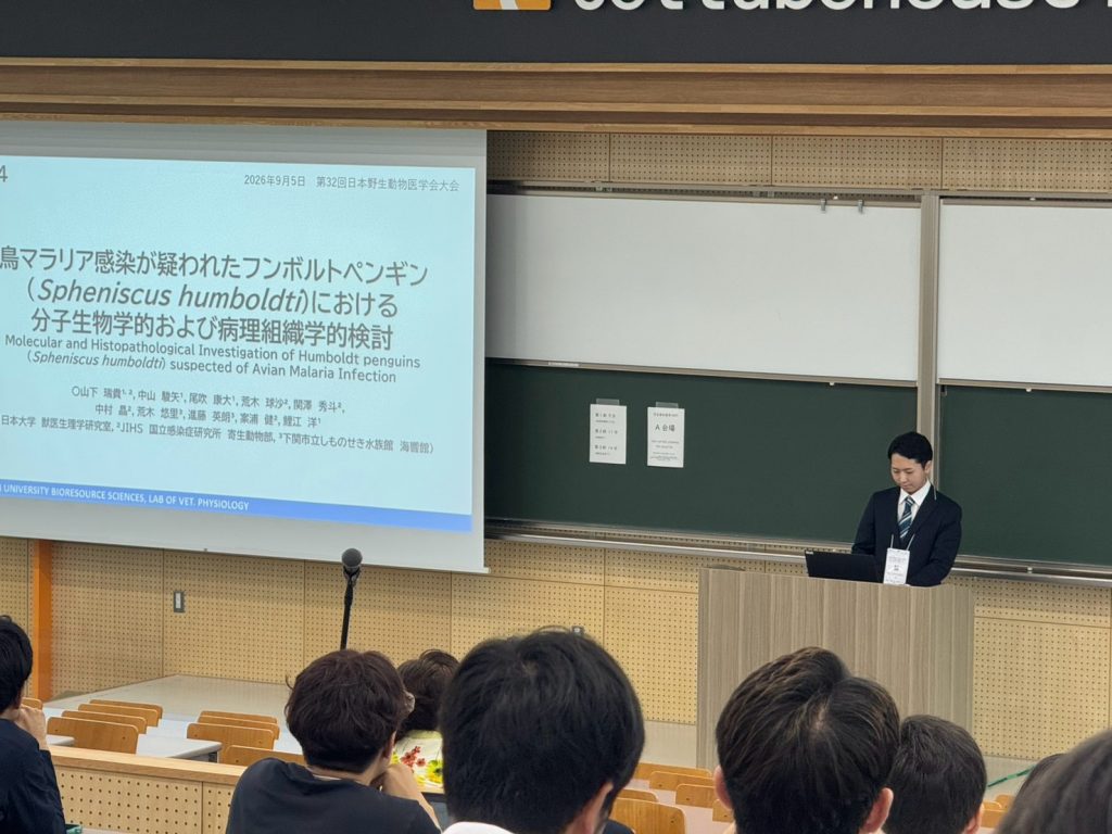 口頭発表の様子