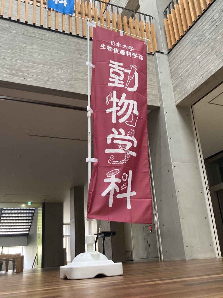 動物学科のぼり