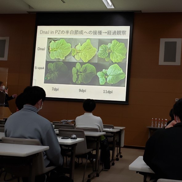 生命農学科通信 vol. 56「卒業研究発表会（植物医科学研…