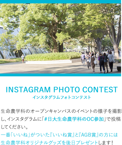 INSTAGRAM PHOTO CONTEST