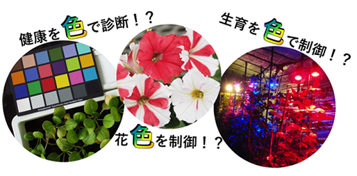 農業生産技術研究室
