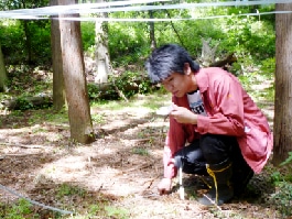 谷戸の環境調査