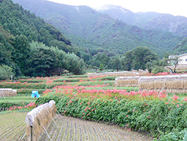 地域環境を永らえるために