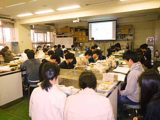 2018 ISO活動風景（薬品管理説明会の様子2）