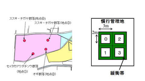 研究テーマ15