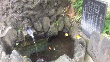 研究テーマ