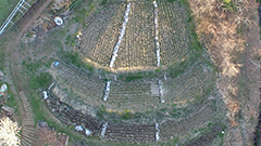 研究テーマ