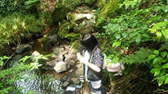 研究テーマ
