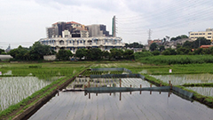 研究テーマ