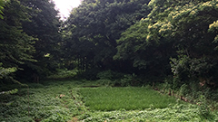 研究テーマ