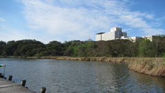 研究テーマ