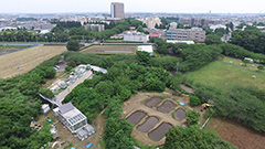 研究テーマ