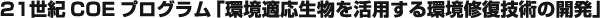 21���ICOE�v���O�����u���K�����������p������C���Z�p�̊J���v