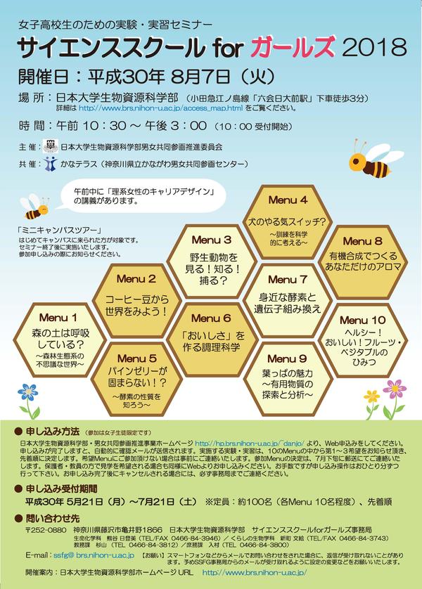 SSFG2018_チラシ for WEB_ページ_1.jpg