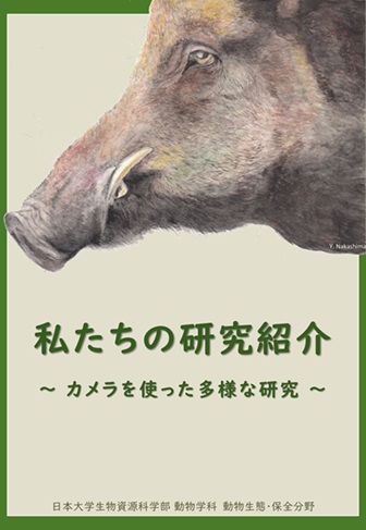 過去の卒論・修論テーマのパンフレットの表紙