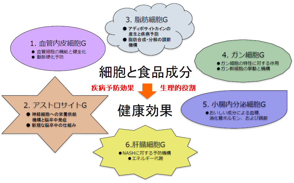 研究グループの図