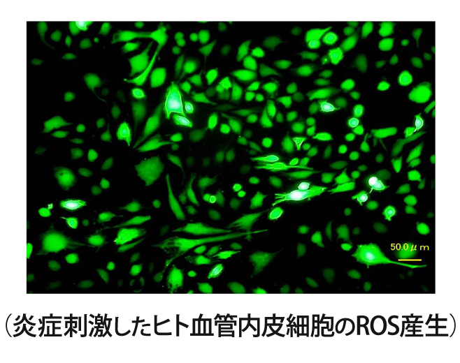目指すもの：イメージ写真1