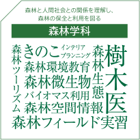 森林学科