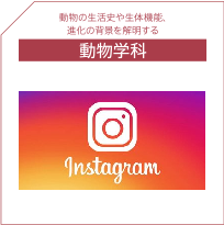 動物学科Instagram