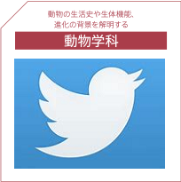 動物学科Twitter