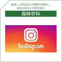 森林学科Instagram