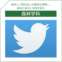 森林学科Twitter