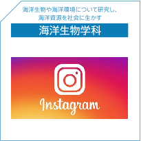 海洋生物学科Instagram