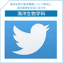 海洋生物学科Twitter