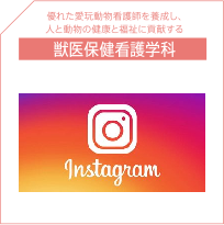獣医保健看護学科Instagram