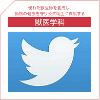 獣医学科Twitter