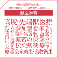 獣医学科