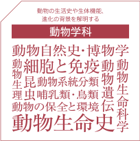 動物学科