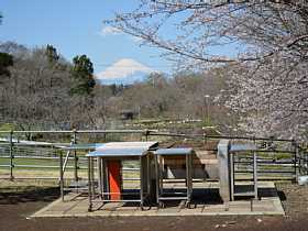 写真：富士山を望める芝生のバーベキュー施設