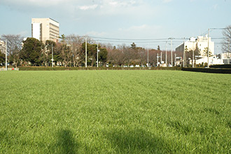 採草地