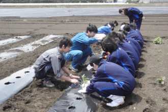 藤沢中学校フィールド実習の応援学生たち