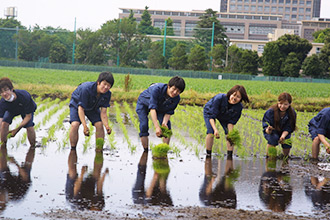 田植え実習