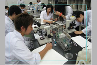 食品微生物学研究室