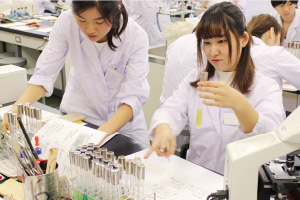 大腸菌の検出と観察