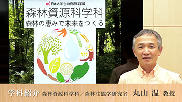 森林生態学研究室アイコン