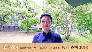 森林生態学研究室アイコン
