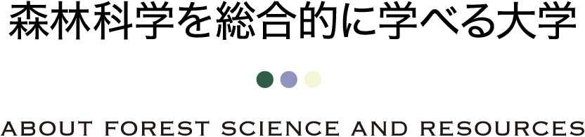 森林科学を総合的に学べる大学 ABOUT FOREST SCIENCE AND RESOURCES