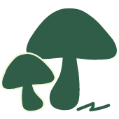 微生物