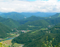 水上演習林［群馬県］