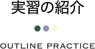 実習の紹介 OUTLINE PRACTICE