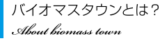 バイオマスタウンとは？ About biomass town