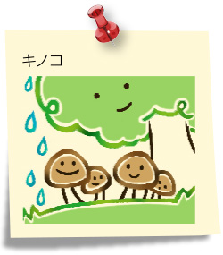 キノコ