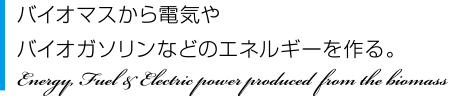 バイオマスから電気やバイオガソリンなどのエネルギーを作る。 Energy, Fuel & Electric power produced from the biomass