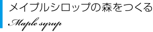 メイプルシロップの森をつくる Maple syrup